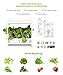 IDEER LIFE Mee Kitchen, Smart Indoor Gardening System w/LED Plant Grow Light, Mini Indoor Herb Garden, Hydroponics Indoor Gardening Kit w/Seedling Foam,Not Contain Seeds -12 Plants (IDE880290 White)