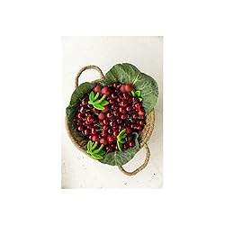 Oli & Carol Natural Rubber Teether - Fruit Shaped