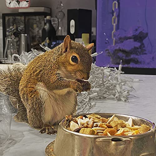 Squirrel Complete (1.75 lb.) Healthy Natural Food Nutritionally