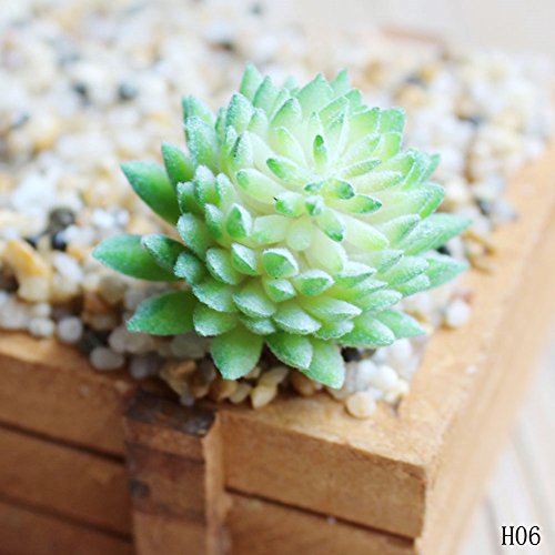 Dutch Brook 3 Pcs Different Succulents Artificial Cactus Plants for Office Home Garden Decor (Sent Randomly) (3 Pcs-1)