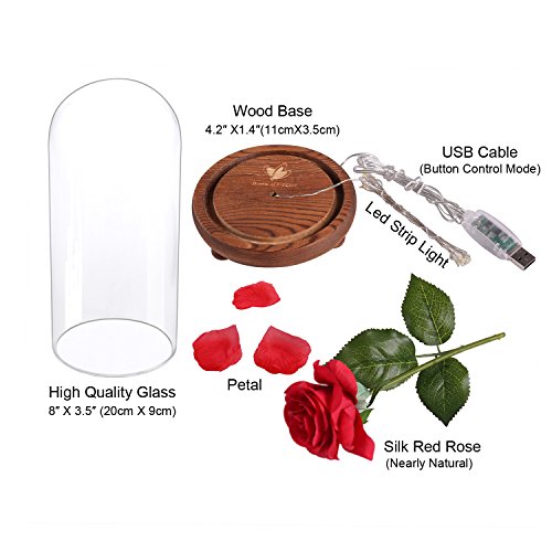 Beauty and Beast Roses, Dream Flower Red Silk Rose with LED Light and Fallen Petals on a Glass Dome Wooden Base, Best for Weddings, Anniversaries, Educational Gifts for Kids - Thumbnail 2