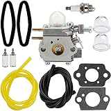 Hipa WT973 Carburetor + Tune Up Kit Air Filter for Bolens BL110 BL160 Trimmer Craftsman 316711020 316711021 316711022 316711370 316711390 316711470 316711471 316990100 316990110 Brushcutter