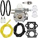 Hipa WT973 Carburetor + Tune Up Kit Air Filter for Bolens BL110 BL160 Trimmer Craftsman 316711020 316711021 316711022 316711370 316711390 316711470 316711471 316990100 316990110 Brushcutter