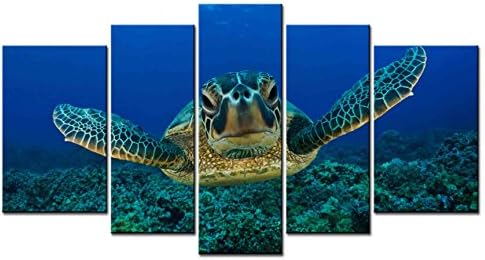 ClassiceDecorArt Wall Art Paintings - 5 Pieces Decor Art of Tortoise Head Flippers-sea-green-turtle-chelonia-mydas-maui-hawaii-usa-turtle Painting - The pictures Print on Canvas for Modern Home Decor