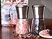 Brushed Stainless Steel Salt and Pepper Shakers or Grinders with Matching Stand and Adjustable Coarseness Feature (Sea Salt)