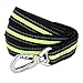 Dog Leash, Itery Reflective Dog Leash Pet Safety Walking and Trainning Leash 6 Feet Length 1 Inch Width (Green)