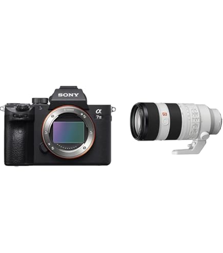 Amazon.com : Sony a7 III Full-Frame Mirrorless Interchangeable