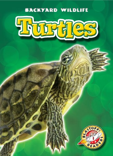 Turtles (Blastoff! Readers: Backyard Wildlife) (Blastoff! Readers: Backyard Wildlife: Level 1 (Library))