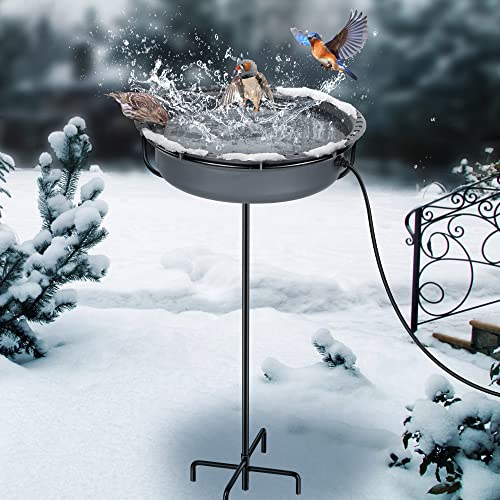 Are Bird Bath Heaters Safe: Essential Facts You Must Know