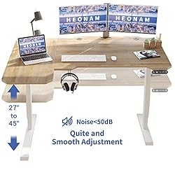 HEONAM 59-Inch L-Shape Standing Desk, Electric