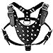 Didog Studded Spiked Leather Dog Harness for Medium and Large Dogs,Fit Pit Bulldog Terrier Mastiff Puppy Boxer(Black)