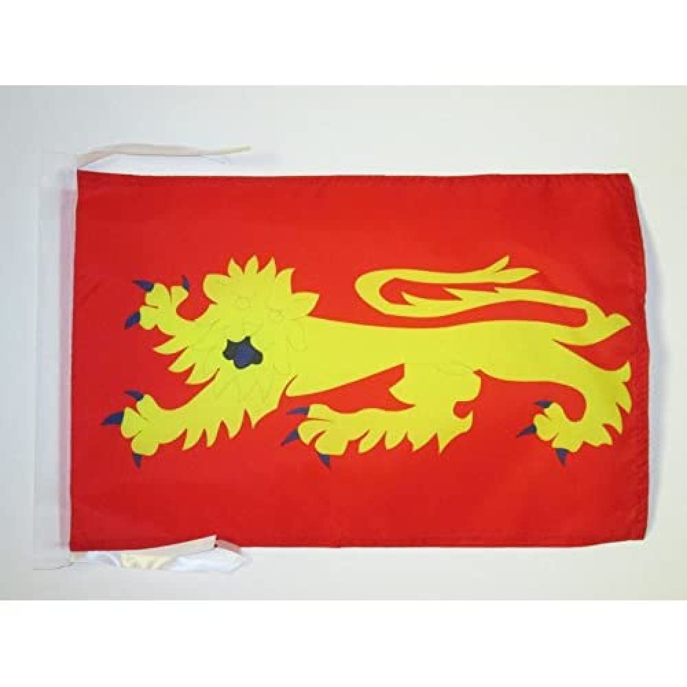 AZ FLAG - Aveyron Flag - 18'' x 12'' - 100% Polyester French department - France Small Banner with Two Cords - Fade Resistant - Vivid Colors - 18x12 in - 45x30 Cm — image 1