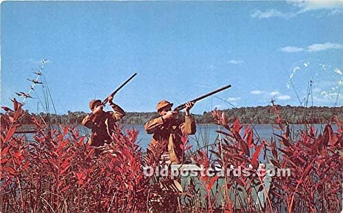 Air gun hunting oregon