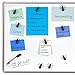 Refrigerator Magnets,Cute Ant Fridge Magnets Funny for Office Magnets Creative Whiteboard Magnets Decorative Locker Magnets - 8PCS