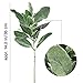 APHER 5 PCS Artificial Flocked Lamb's Ear Leaf Fake Greenery for Wedding Home DIY Decor