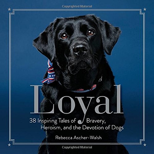 Loyal: 38 Inspiring Tales of Bravery, Heroism, and the Devotion of Dogs by Rebecca Ascher-Walsh