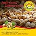 Keenan Farms Pistachios Roasted and Salted No Shell Pistachios - 12oz Bag - No Shell Pistachios - Kosher - Resealable Pouch - Complete Protein