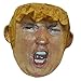 Pinatas Mr. President Donald Trump, Parody for Beating, Larger Than Life Head (17Inch)