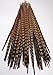 25 pc, Ringneck pheasant tails, 15-20