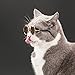 Coolrunner Cute and Funny Pet Sunglasses Classic Retro Circular Metal Prince Sunglasses for Cats or Small Dogs Fashion Costume