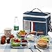 Cooler Insulated Bag/ Handbag/ Lunch Bag Mini/ Picnic Cooler Bag/ Insulated Lunch Bag for Office/School/Picnic,With Shoulder Strap