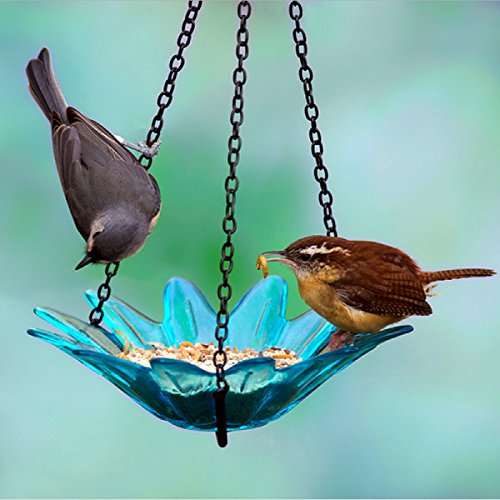Romantic Decor and More Glass Daisy Birdbath 8 in. G290VF Aqua Transparent Wild Bird Feeder, Colored Birdseed Bowl