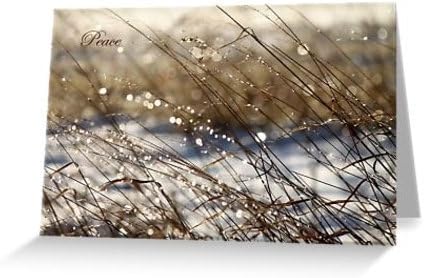 Nature's Bling / Holiday Greeting Card / "Peace" / Blank Inside / Orig Fine Art Photography