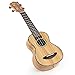 Donner Zebrawood Ukulele Soprano DUS-2 21 inch Ukulele Kit with Case Tuner Strap Nylon String