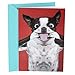 Hallmark Shoebox Funny Birthday Card (Dog Smile)