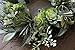 Realistic Artificial or Fake Succulent Wreath - 22 Inches, Indoor-Outdoor Green Wreath with Succulents & Real Twig Back for Front Door or Wall- Hanging Farmhouse Decor by Naturally Home Accents