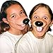 Dog Nose