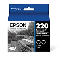 Epson DURABrite Ultra Black Dual Pack Standard Capacity Cartridge Ink for Select Epson Printer (T220120-D2)