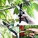 wooch Gardening Shears Garden Cutter Hand Pruner Clippers Stainless Steel Bypass Pruning Kit (Set of 3)thumb 2
