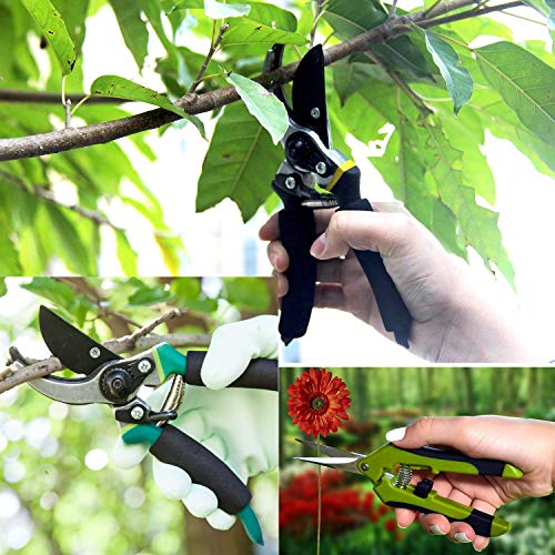 wooch Gardening Shears Garden Cutter Hand Pruner Clippers Stainless Steel Bypass Pruning Kit (Set of 3)