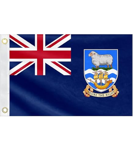 Amazon.com : DMSE Silver Fern New Zealand Flag 3X5Ft Foot 100