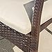 GDF Studio Melba Outdoor Brown Wicker Dining Chair with Beige Cushion (Set of 2)