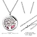Long Way Aromatherapy Essential Oil Diffuser Necklace with 317L Stainless Steel Pendant Jewelry Gift Set