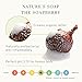 Tree to Tub Lavender Dry Hair Shampoo for Sensitive Scalp - Gentle Hydrating Dry Scalp Shampoo for Women & Men, Moisturizing Sulfate Free Shampoo w/Organic Argan Oil, Chamomile, All Natural Aloe Vera