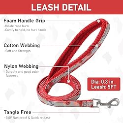 GAMUDA Small Pet Harness Collar and Leash Set, Step