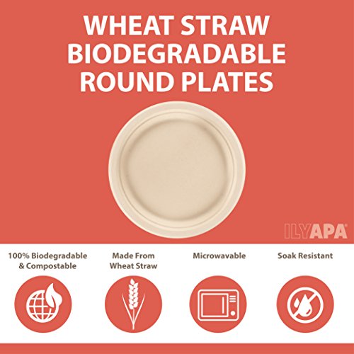 image for Ilyapa 50 Biodegradable Disposable Plates - 6 Inch Compostable & Micro