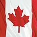 Canadian Waving Flag Luncheon Napkins Package of 20