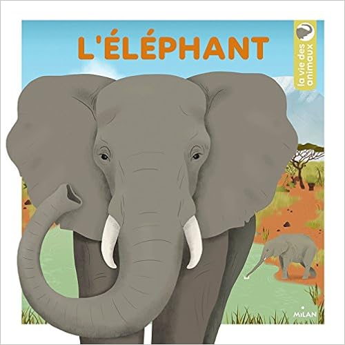 couverture de : L'&eacute;l&eacute;phant