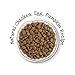 Muse by Purina Natural, Grain Free Dry Cat Food, Charmed With Chicken, Egg & Pumpkin Recipe - 9 lb. Bag