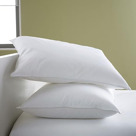 Buy Avi 2 Piece Microfibre Pillow For 5 Star Hotel Feel White 20