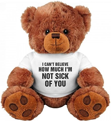 Funny Teddy Bear Couple Gift: Medium Teddy Bear Stuffed Animal : Sick of You Gift