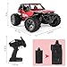 RC Car for Kids, 1:18 Remote Control Car Electric Racing Car Off Road, High-Speed Off Road Desert Buggy Vehicle 2.4Ghz 2WD Electric Racing Car