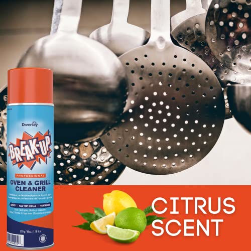 Diversey CBD991206 BreakUp Professional Oven & Grill Cleaner, Heavy