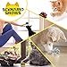 HNYYZL 25 Pack Crinkle Balls Cat Toys - Original Mylar Crinkle Balls Cat Toys（Random Color）
