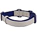Blueberry Pet 2 Colors Soft & Comfy Made Well Classic Neoprene Padded Adjustable Dog Collar, Beige, Large, Neck 18-26\