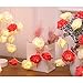 Indoor String Red Rose Lights, 20 Led Battery Operated Flower Hanging Lights for Valentine's Day Wedding Anniversary Spring Party Decorations, Teen Girls Bedroom Decor, Gift Idea (Red + White)